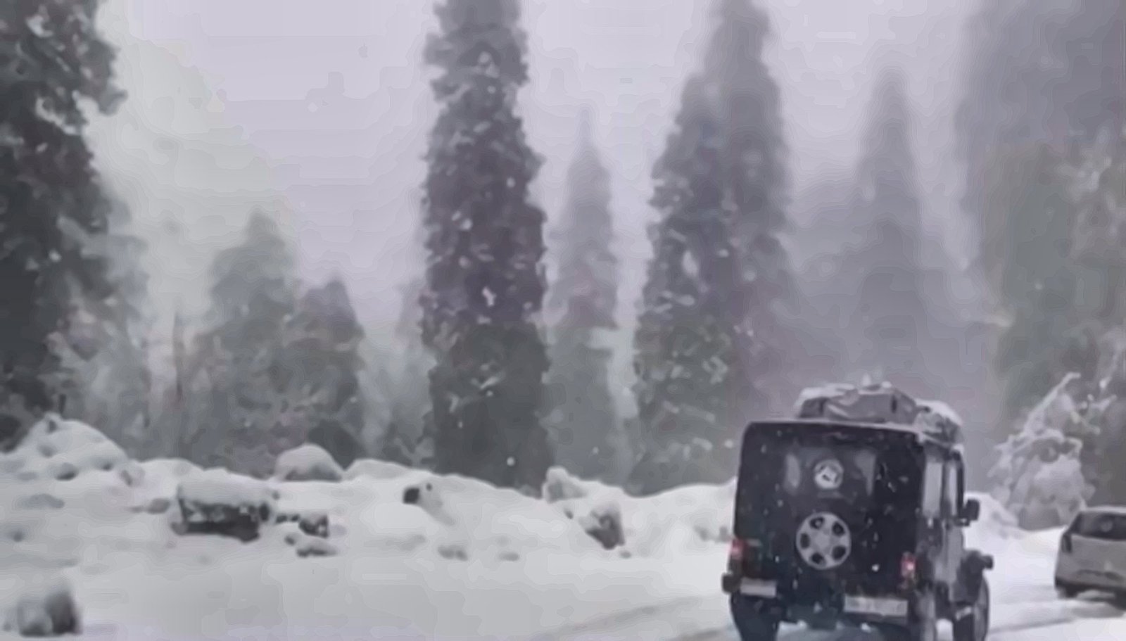 A 4x4 driving through heavy snowfall between deodar trees